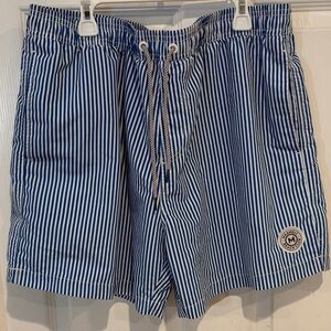 Classic Blue Striped Athletic Shorts